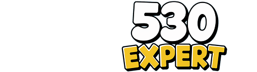 530 Expert