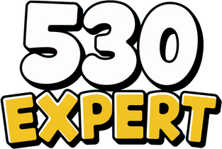 530 Expert Logo — SEO & Digital Marketing Agency