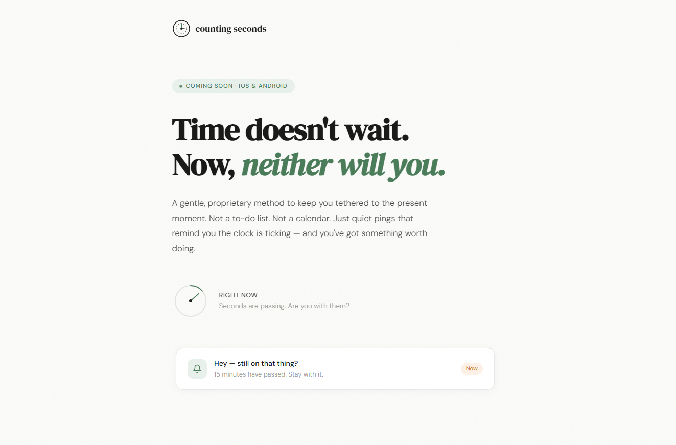 Website screenshot of countingseconds.com
