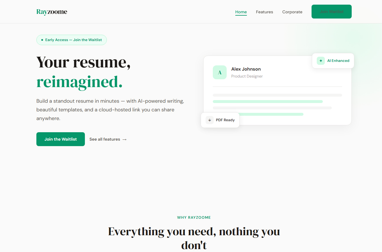 Website screenshot of rayzoome.com