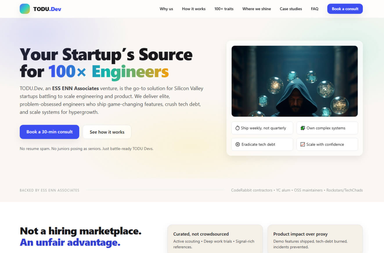 Website screenshot of todu.dev
