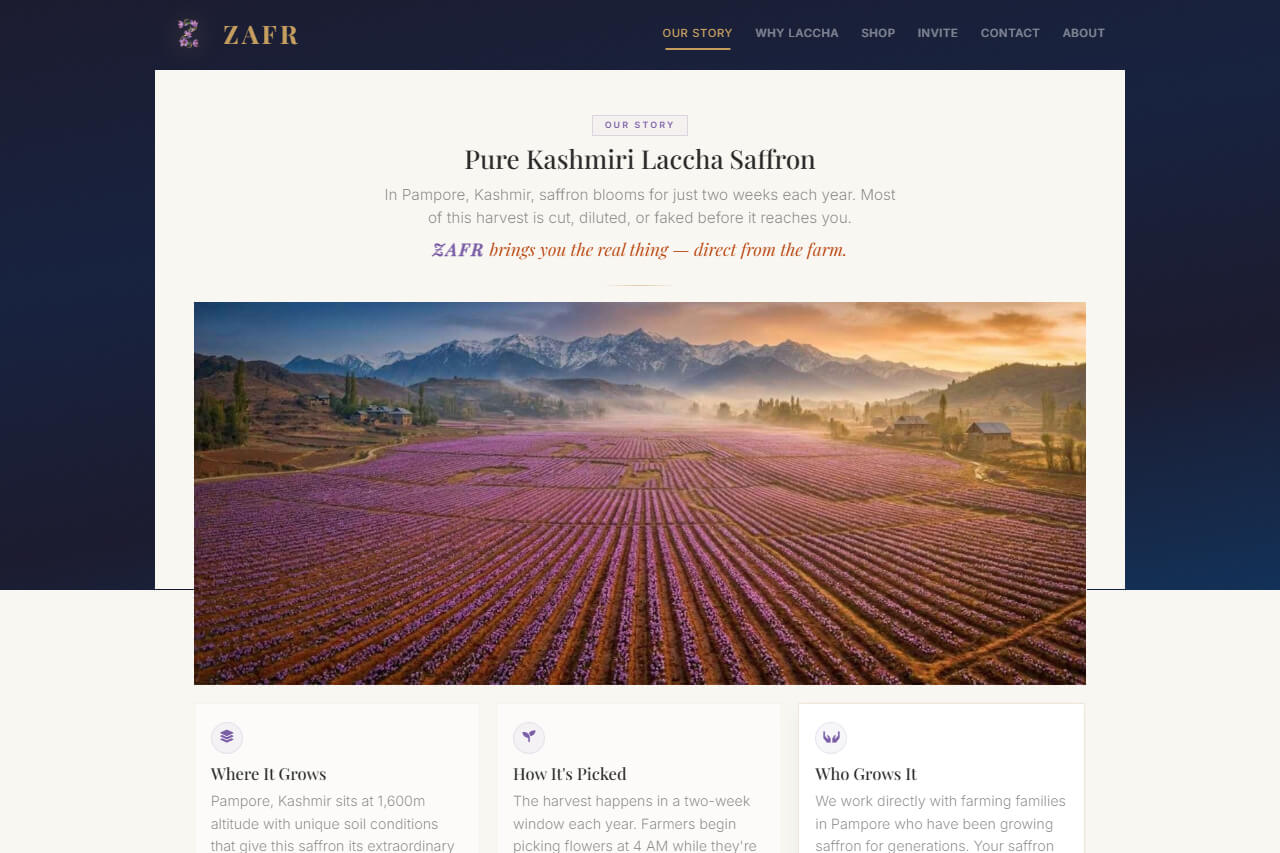 Website screenshot of zafr.in